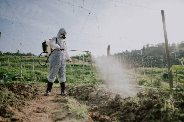 Best Commercial Pest Control Services  in Plainview, NY