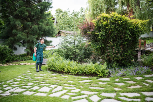 Best Pest Control Near Me  in Plainview, NY