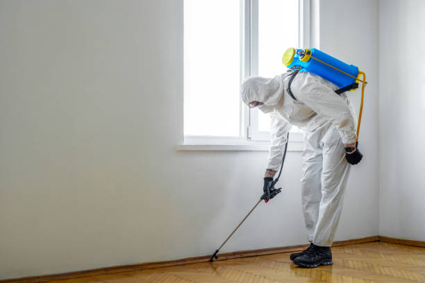 Best Rat Extermination Near Me  in Plainview, NY