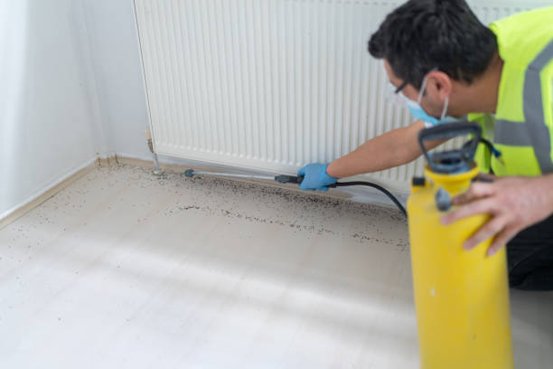 Best Exterminator Services  in Plainview, NY